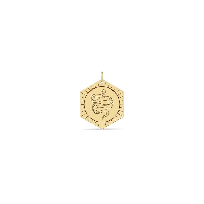 14k Animal Hexagon Medallion Charm Pendant – SALE