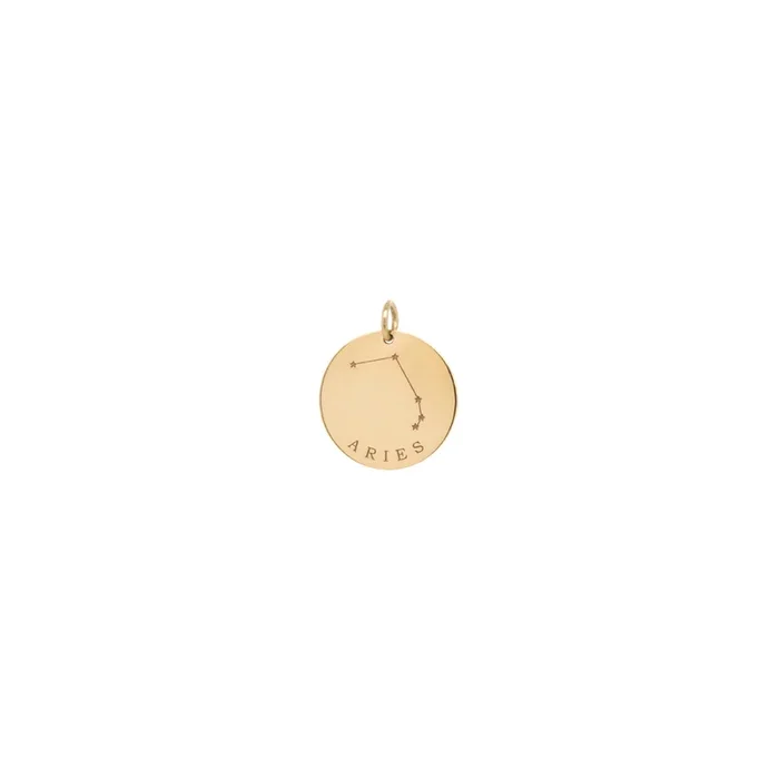 14k Gold Constellation & Zodiac Medium Disc Charm – SALE