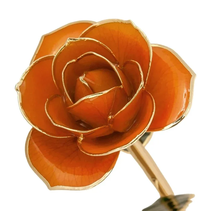 24kt Gold Dipped Genuine Rose-Light Orange