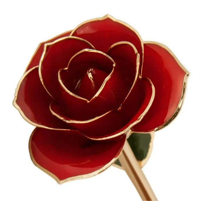 24kt Gold Dipped Genuine Rose-Ravishing Red