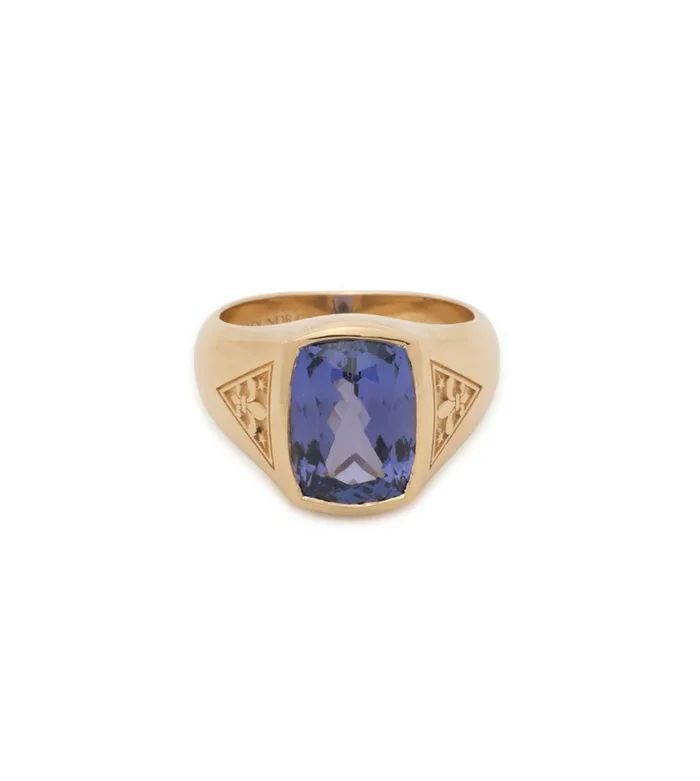 3.07 ct Purple Sapphire – Internal Compass : One of A Kind Gemstone Ring
