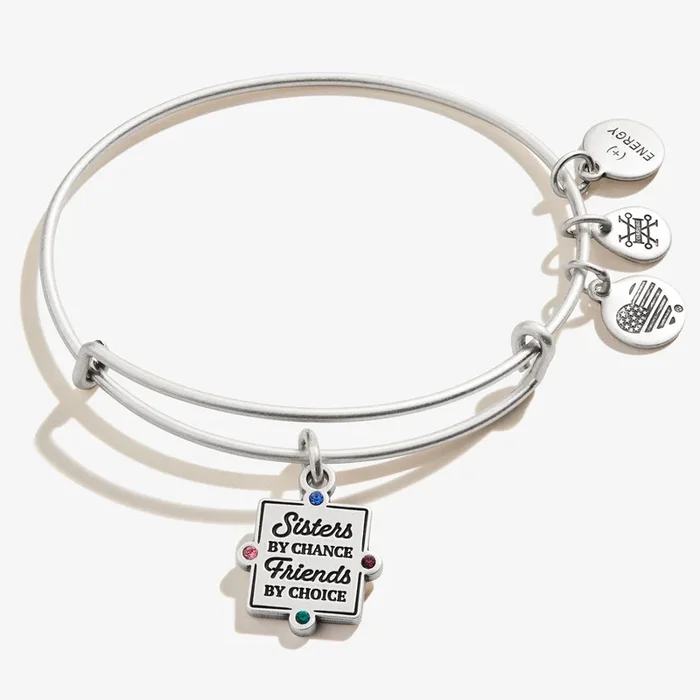 ‘Sisters By Chance, Friends By Choice’ Charm Bangle