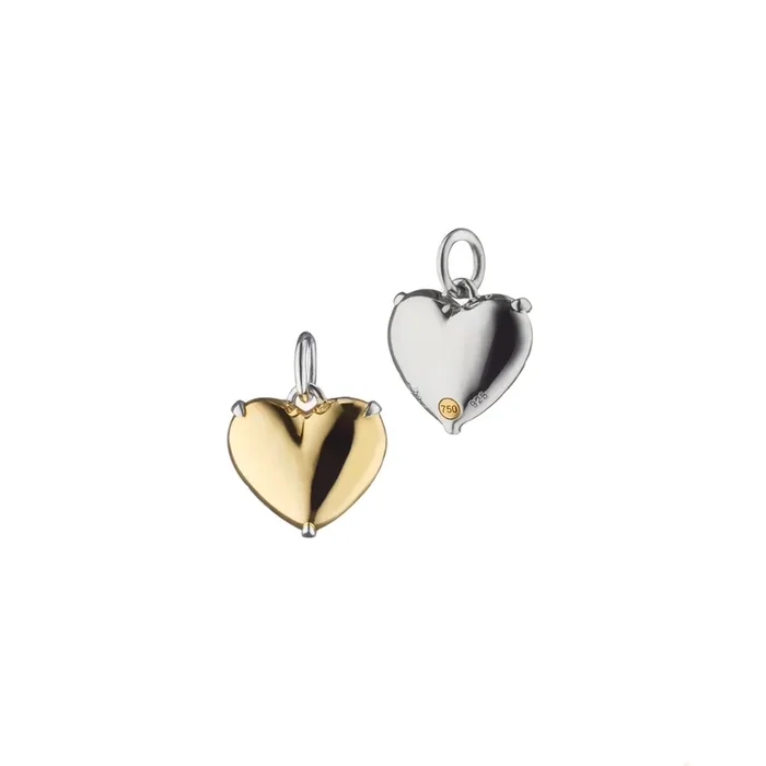 “Heart of Gold” Two-Tone Charm Necklace