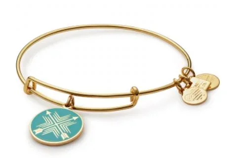 ALEX AND ANI Arrows of Friendship Charm Bangle