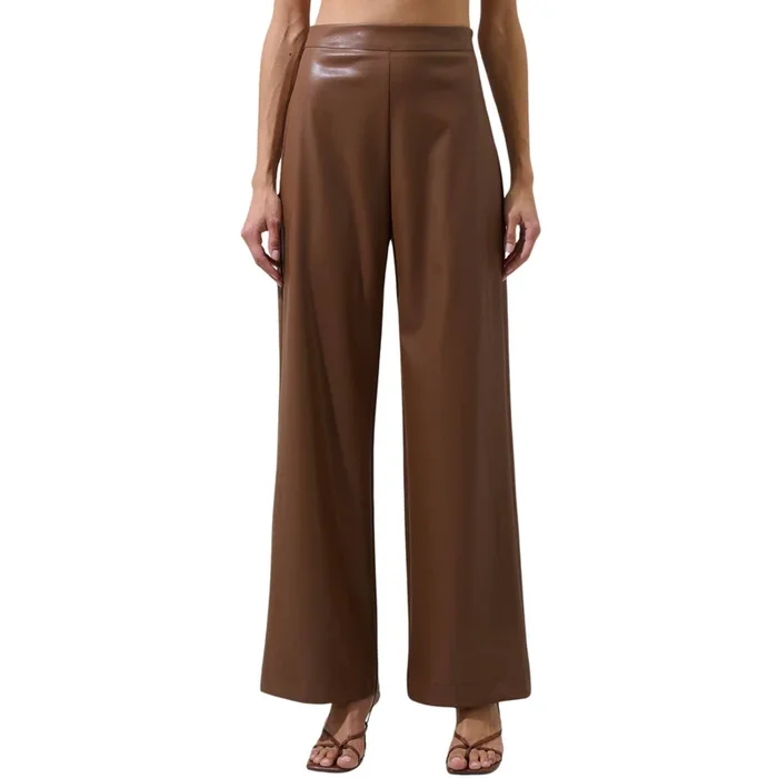 Anisa Leather Bern Wide Leg Pants