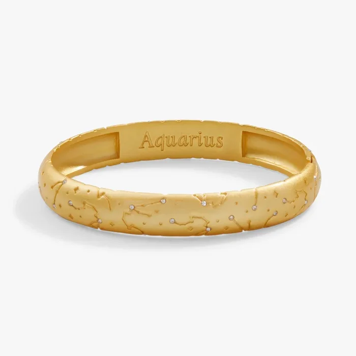 Aquarius Zodiac Hinge Bangle