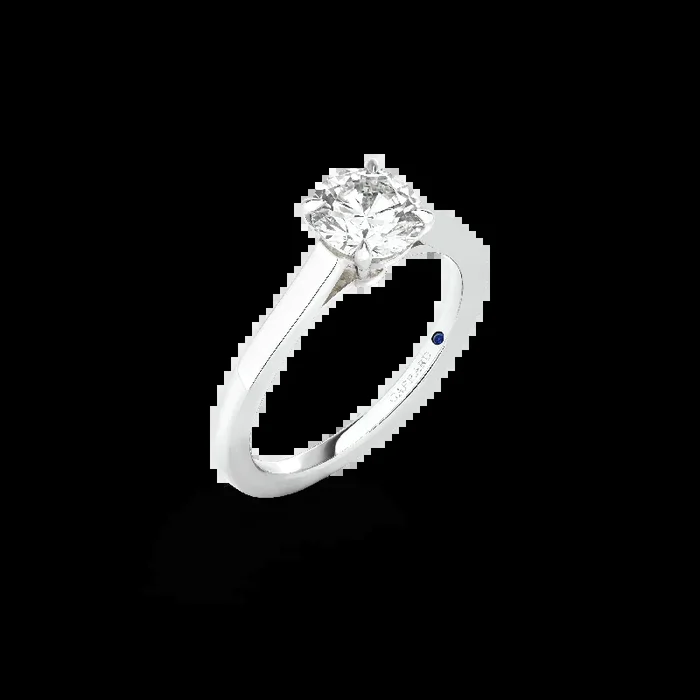 Cherish Round Brilliant Diamond Solitaire Engagement Ring | In Platinum with Diamonds