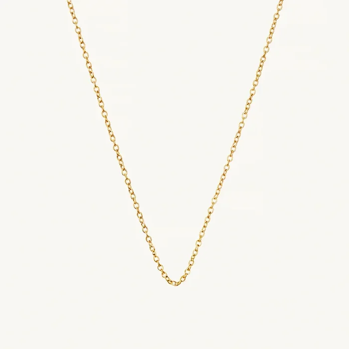 Classic Charm Necklace Gold