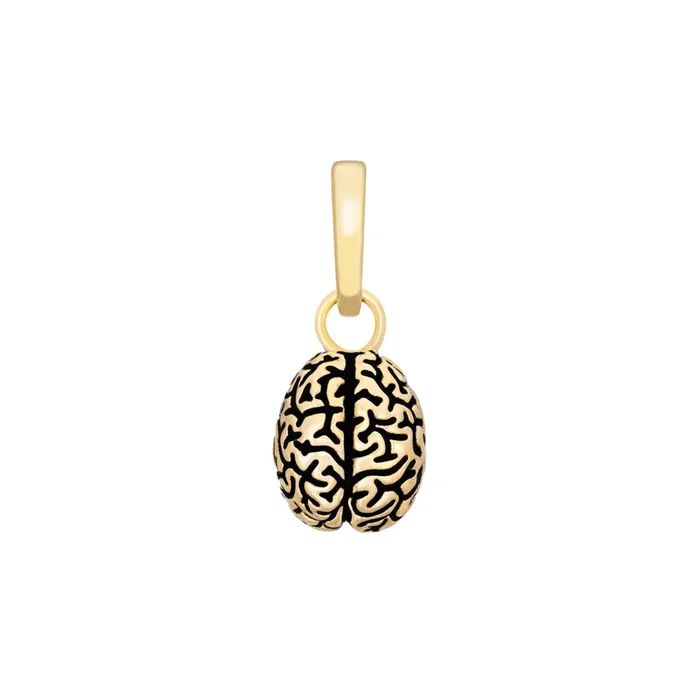 Cortex Charm