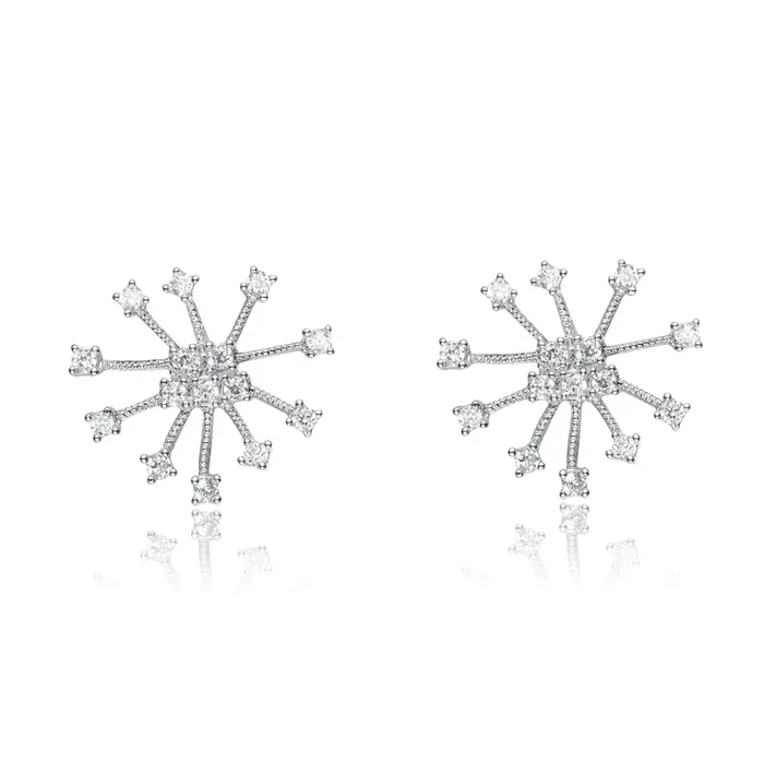 Danielle Decorated Sparkle Round Earrings