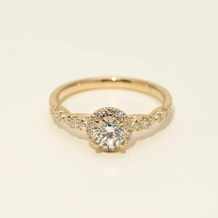 Diamond Halo Engagement Ring in 14kt Yellow Gold (3/4ct tw)