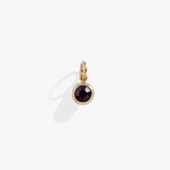 February Birthstone Interchangeable Charm