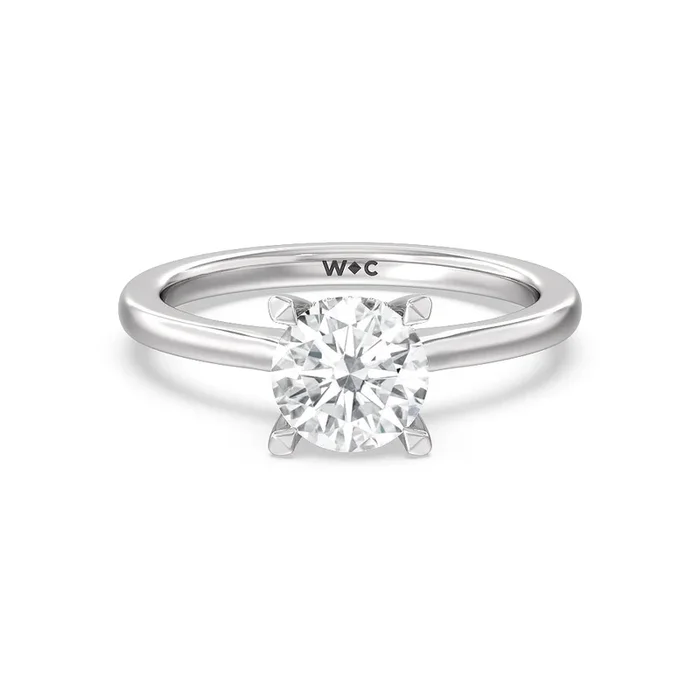 Fine Line Cathedral Solitaire Engagement Ring