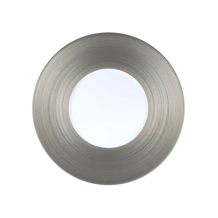 Hemisphere Platinum Dinner Plate