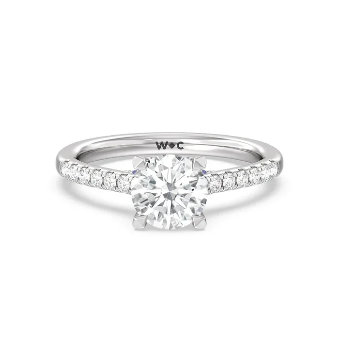 Hidden Accent Engagement Ring