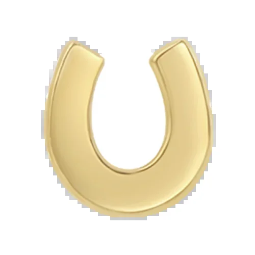 Itty Bitty Horseshoe
