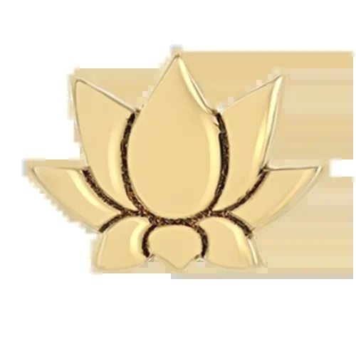 Itty Bitty Lotus