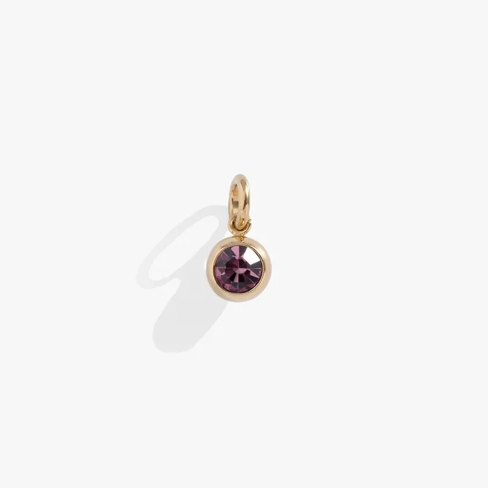 June Birthstone Interchangeable Charm