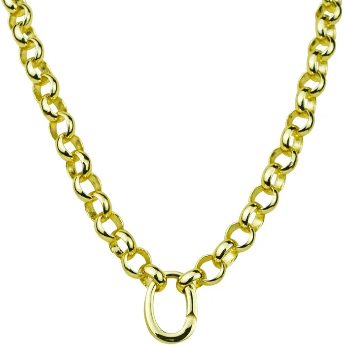 Large Open Ring Charm Holder 17″ Necklace (Goldtone)