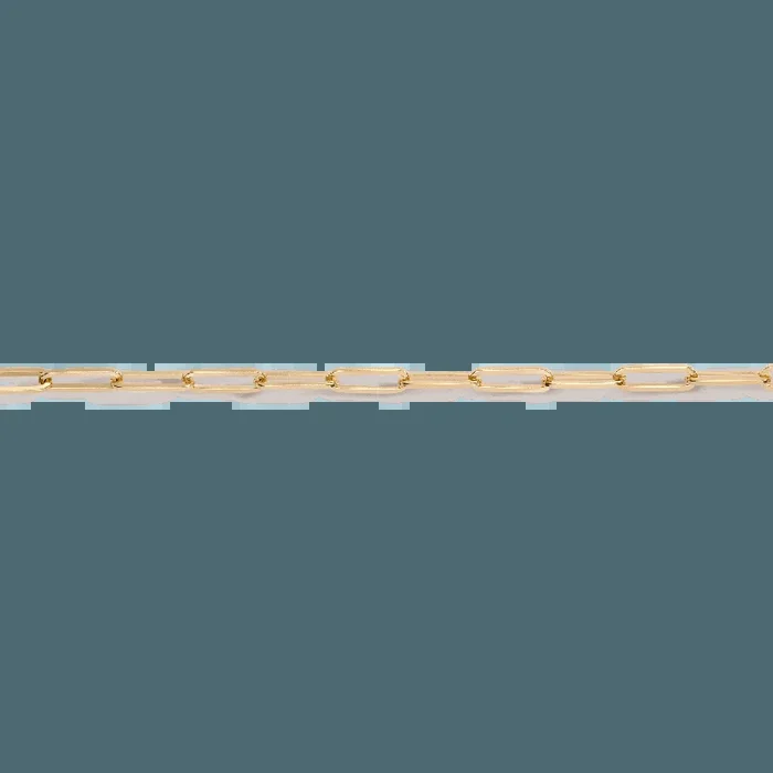 Large Paperclip Chain Bracelet