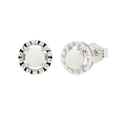 Opal Stud Earrings in 10kt White Gold
