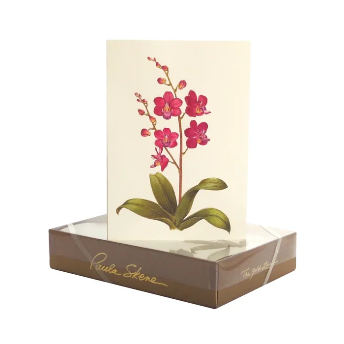 Orchid Note Cards, Set of 8