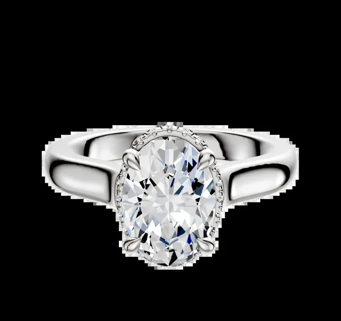 Platinum 4 Prong Collar Cathedral Dome 3.0mm Engagement Ring