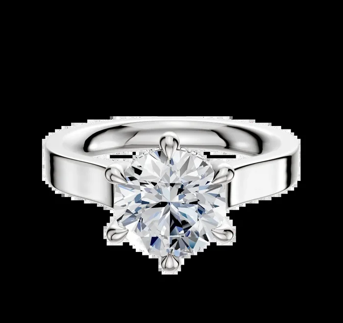 Platinum 6 Prong Hidden Halo Cathedral Flat 3.0mm Engagement Ring