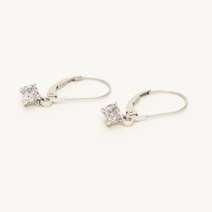 Princess Cut Diamond Earrings in 14kt White Gold (3/4ct tw)