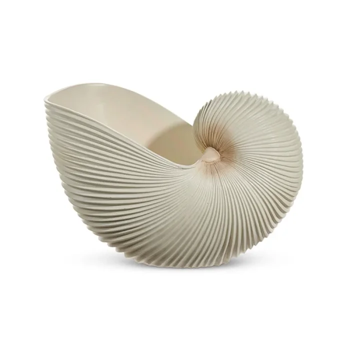 Raz Imports 15.5″ Cream Ribbed Shell