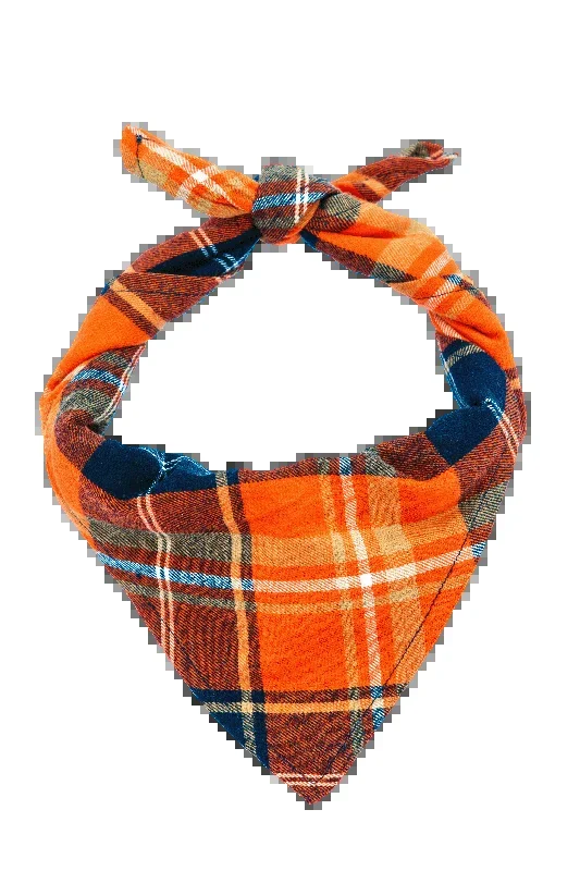 Shenandoah Sunset Flannel Dog Bandana
