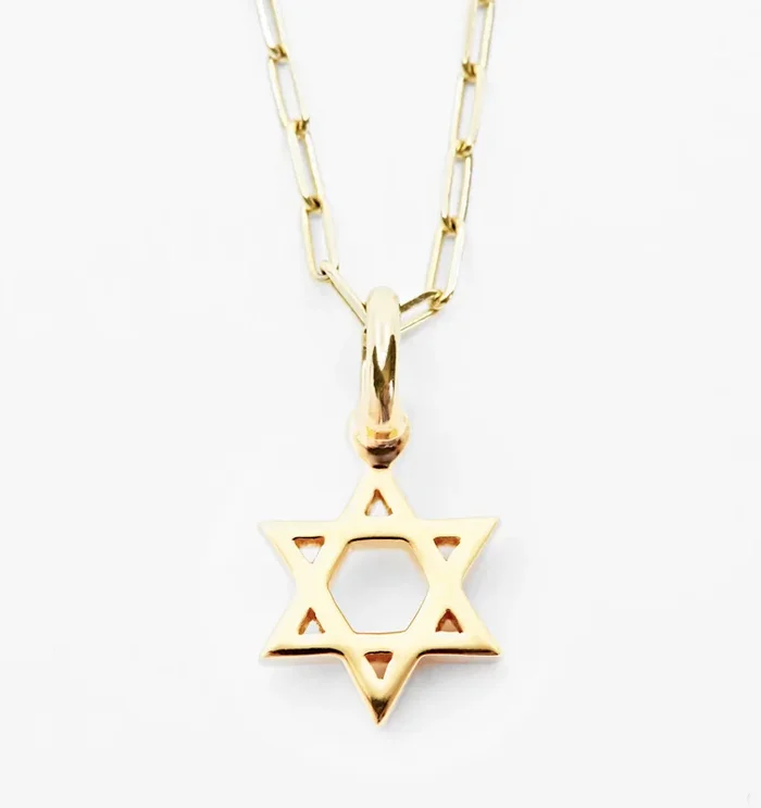 Star of David Necklace