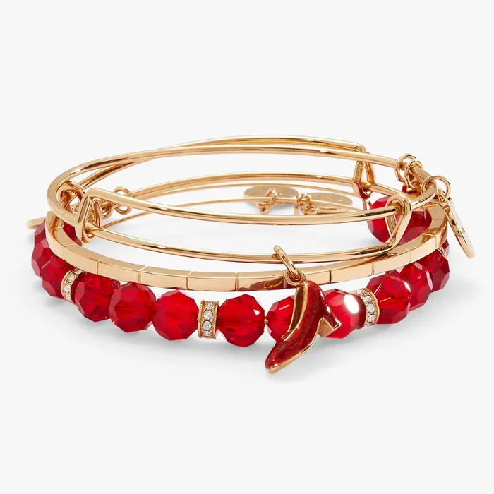 The Wizard of Oz™ Dorothy Bangles Set of 3