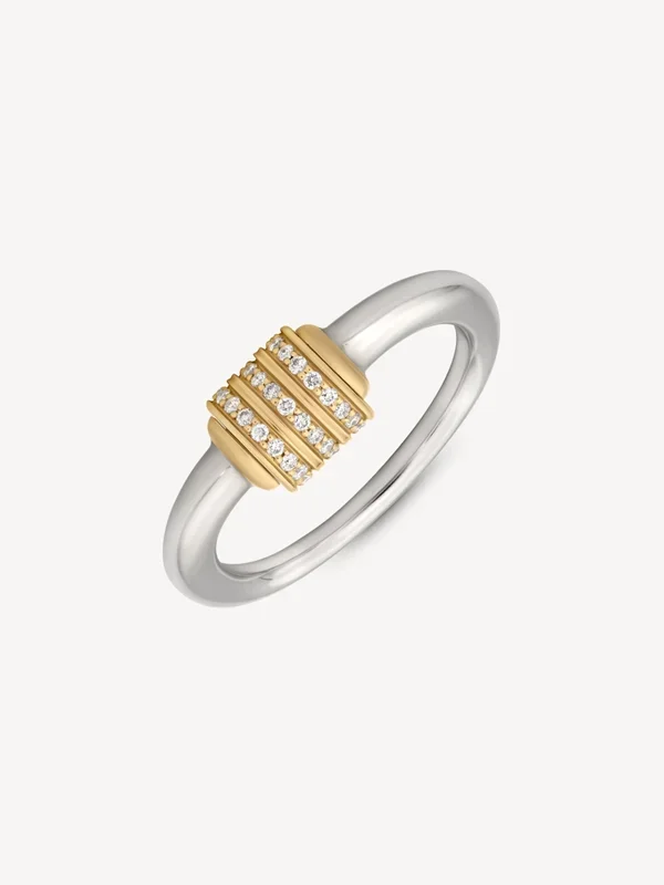 Two Toned Spinning Latch Ring