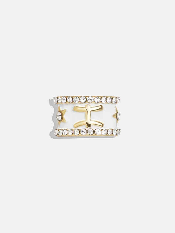 Zodiac 360 Spinner Charm – Pisces